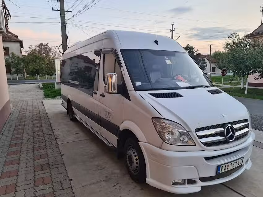 Pensiunea Vila Rosa ***