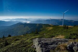 Pensiunea Viorica Arieseni