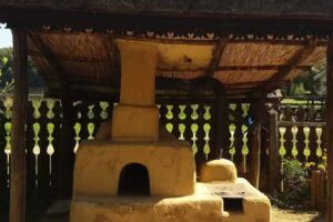 pensiunea vita de vie