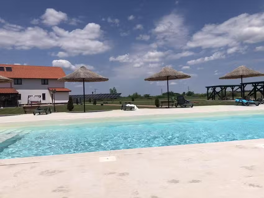 Pensiunea Willy Silvas