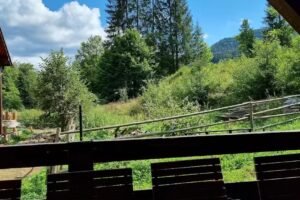 Pensiunea Zorile Tarcaului