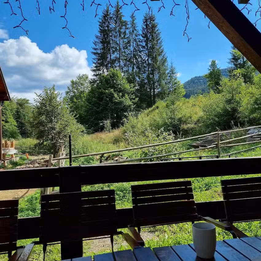 Pensiunea Zorile Tarcaului