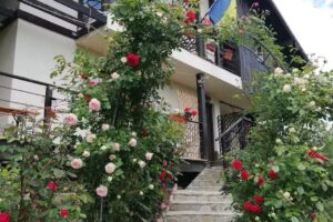 Pensiunile Căsuța cu Trandafiri 1 si 2