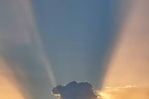 Perla Bálványos Gyöngye