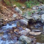 PERLA LOTRULUI, PENSIUNE