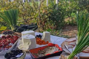 Perryland Urban Farm