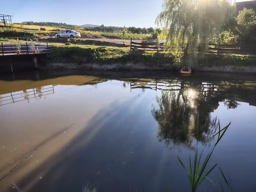 Pescăria La Petrică