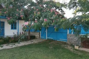 Pesiunea Casa Golovita