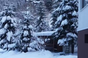 Pietroasa – Platon