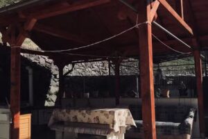 Platinia & Golden Forest Retreats