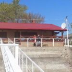 Plimbari pe Dunare, Braila – Marina Braila, Nemo