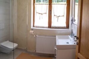 Poiana Brazilor Borșa