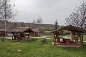 Poiana Râșnoavei Doripesco