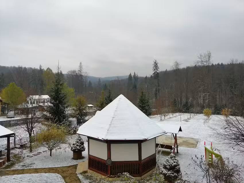 Poiana Soarelui