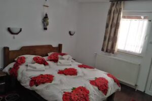 Popasul Din Cornesti