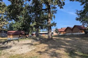 POPASUL TREI STEJARI HOREZU