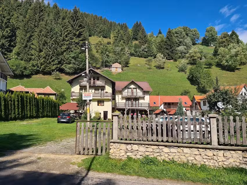 Puiu