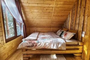 Pura Vida – Forest Home