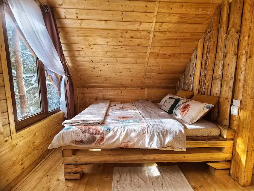 Pura Vida – Forest Home