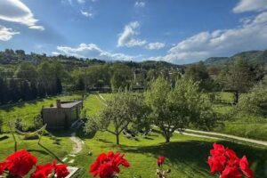 RDT Guest House-Rai din Transilvania