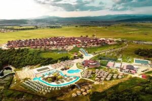 RECEPTIE BAILE FIGA ***