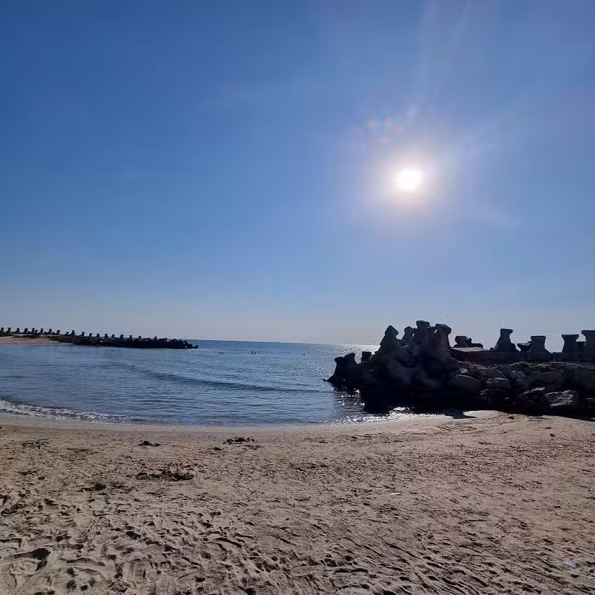 Receptie Satul de vacanta Gura Portitei