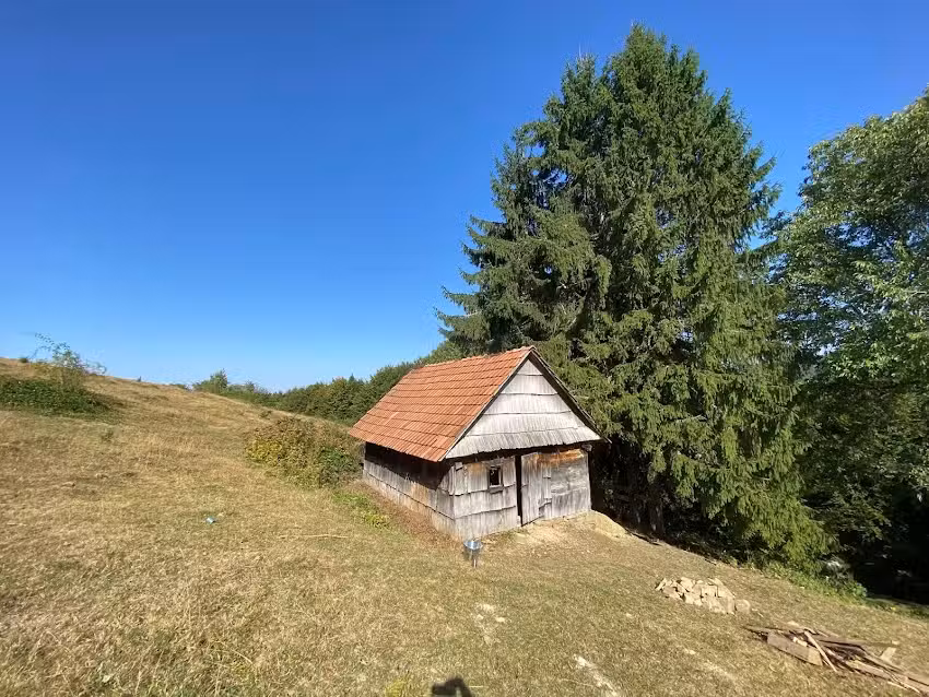Refugiul Cicera