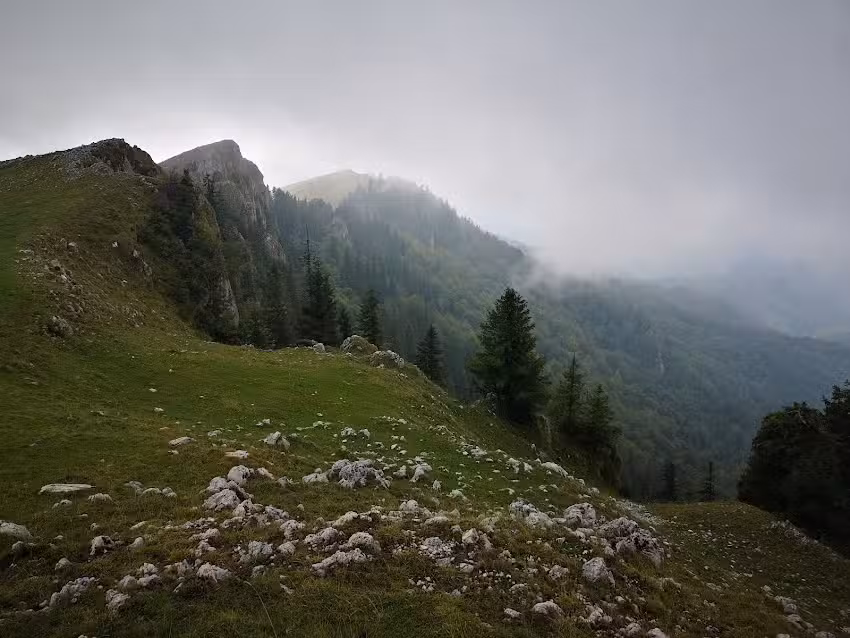 Refugiul Curmătura Builei