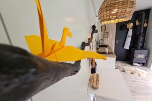 Refugiul din Poiana Lupului