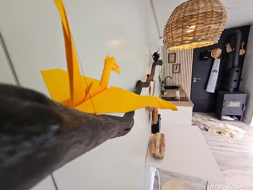 Refugiul din Poiana Lupului