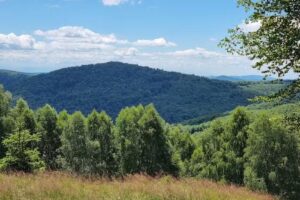 Refugiul montan Cecelei