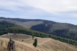 Refugiul Salvamont Golul Pietrosului