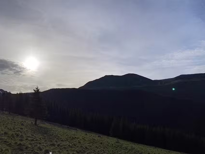 Refugiul Șaua Negoiu