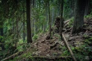 Refugiul Șaua Negoiu