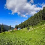 Refugiul Stâna de Râu