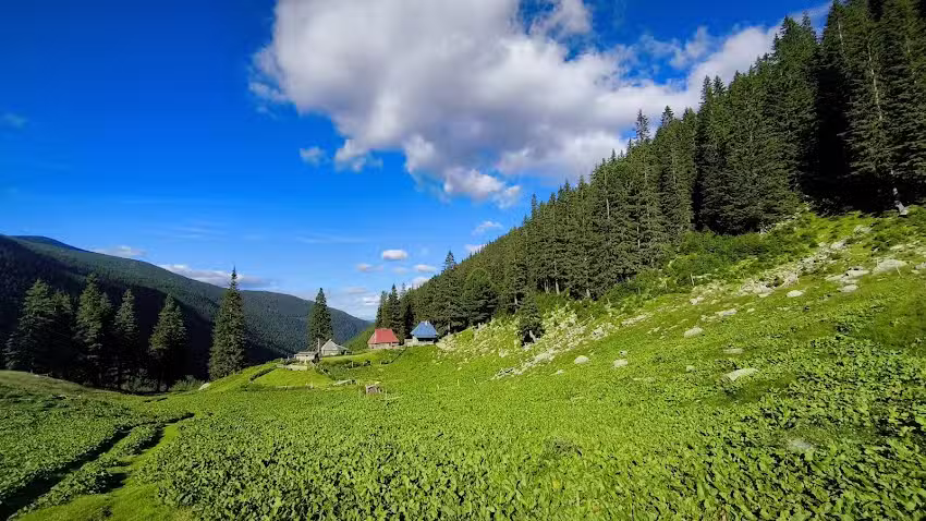 Refugiul Stâna de Râu