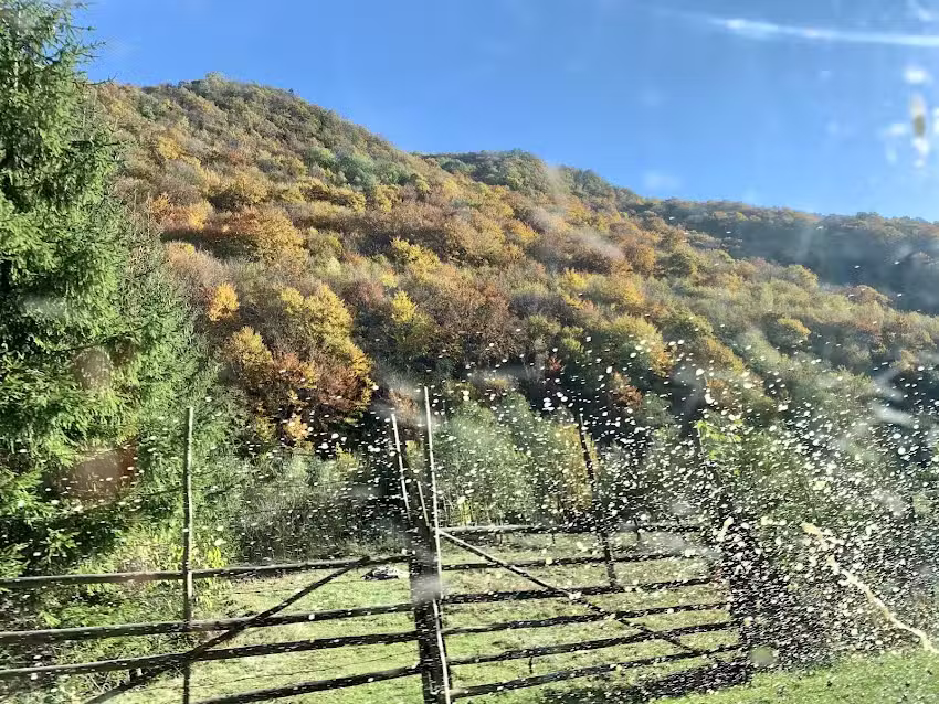 Rental 14 at the mountain