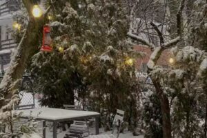 Residence SINAIA Apartments