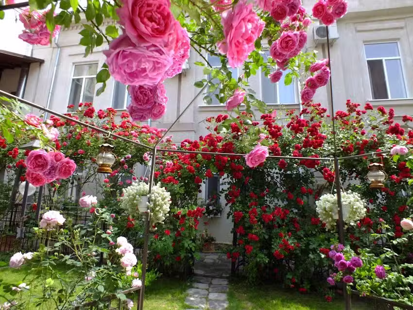 Residenza Dutzu – Boutique Hotel