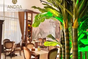 Restaurant Andra Tecuci