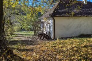 Retragerea Regelui, Valea Zălanului