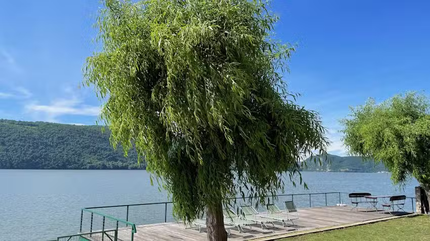 Riviera 990 Chalet Cazanele Dunarii