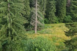 Rizzo Boutique Hotel