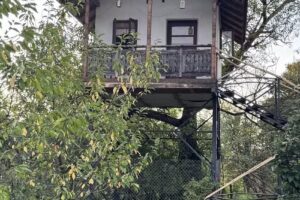 Saint Friday Cottage