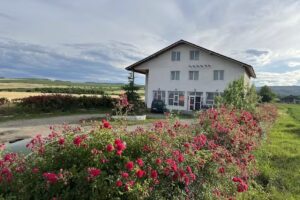 Sale&Pepe Restaurant