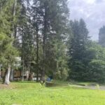 SC BUCEGI MOUNTAIN SERV SRL