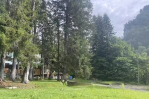 SC BUCEGI MOUNTAIN SERV SRL