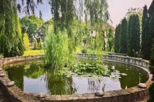 SC Explotur Anicori SRL