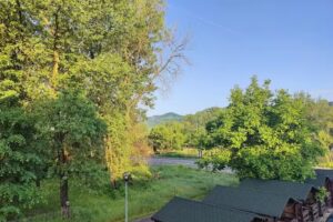 SC Team Mady & Cost SRL