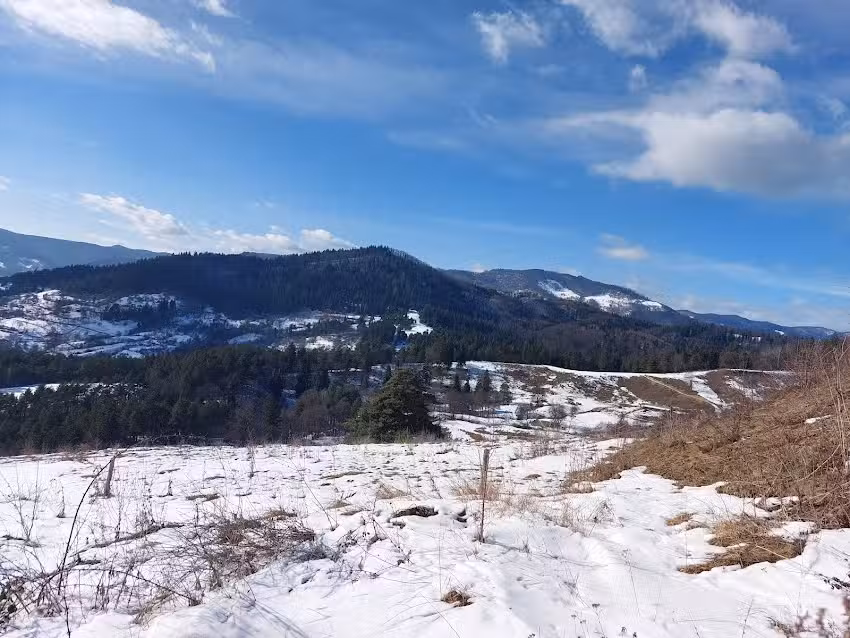 Scandinavia Residence